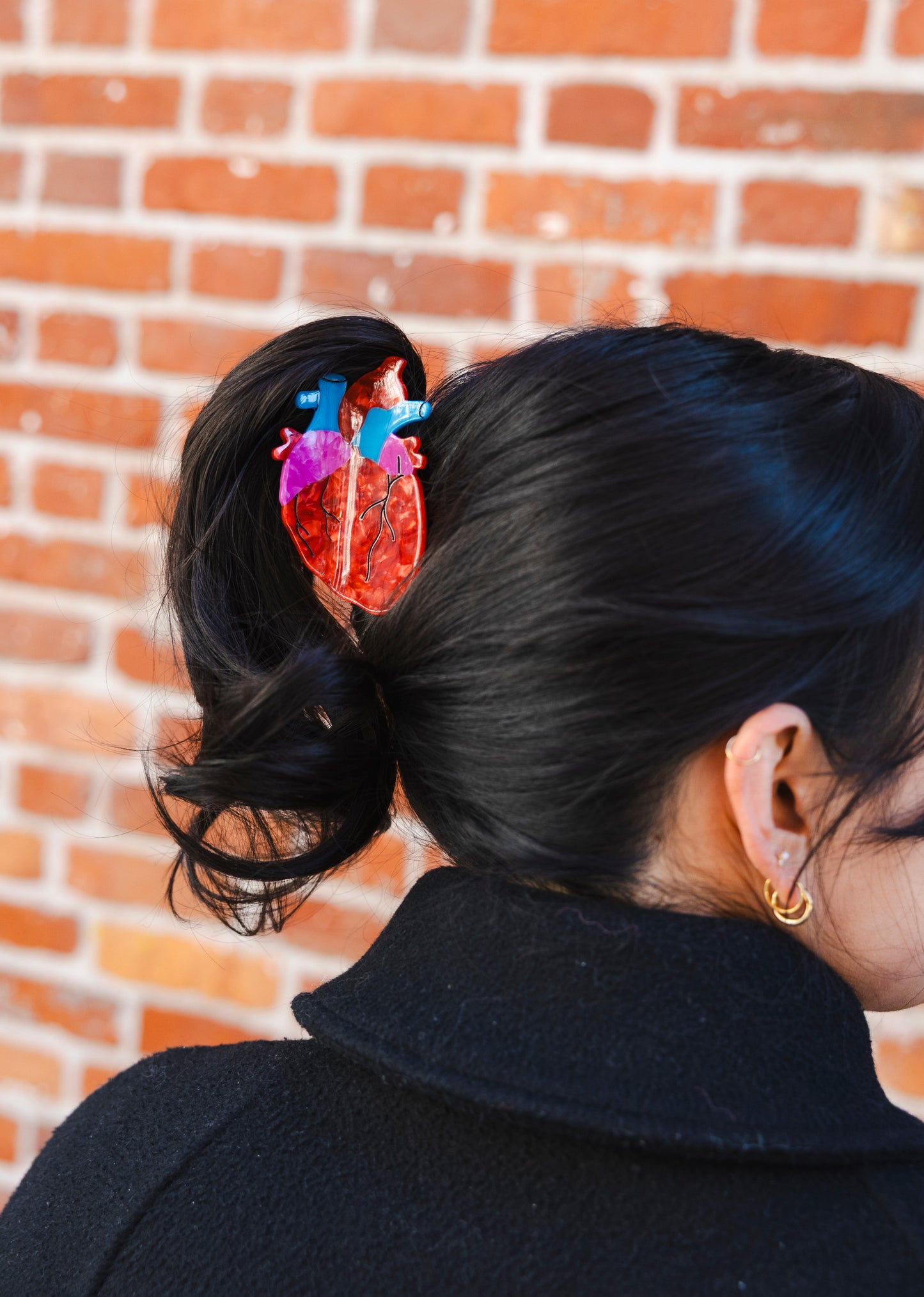 Anatomical Heart Hair Claw