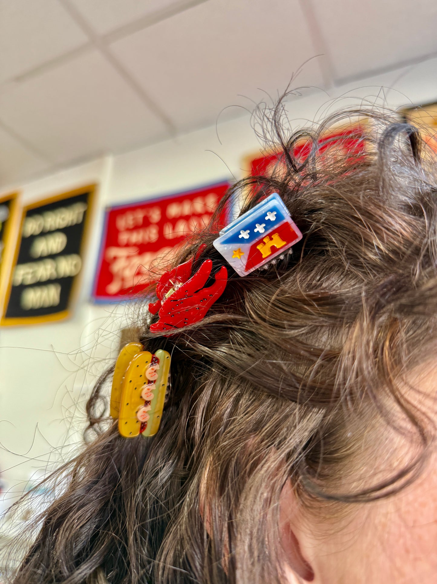 Acadiana Flag Mini Claws (2-pack)