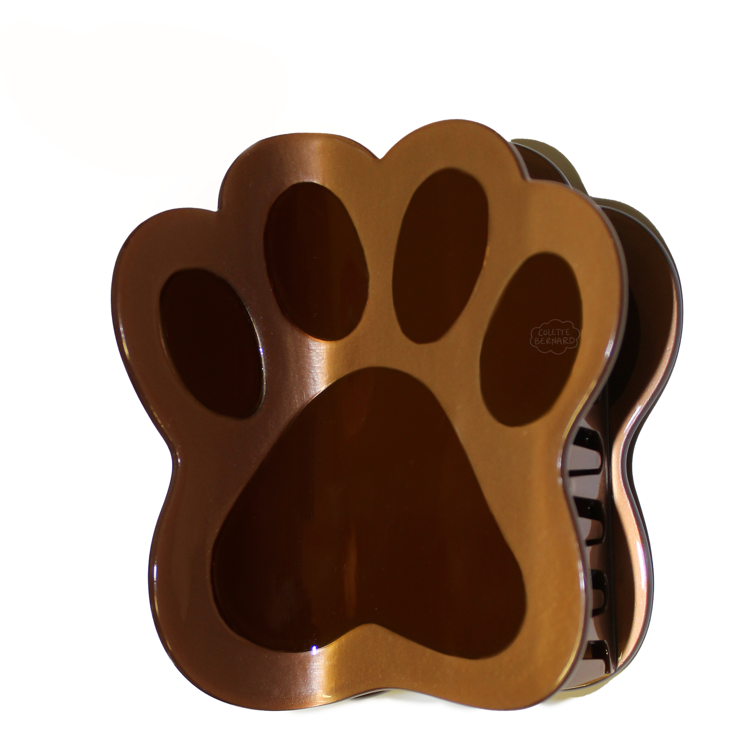 Veterinarians & Animal Science