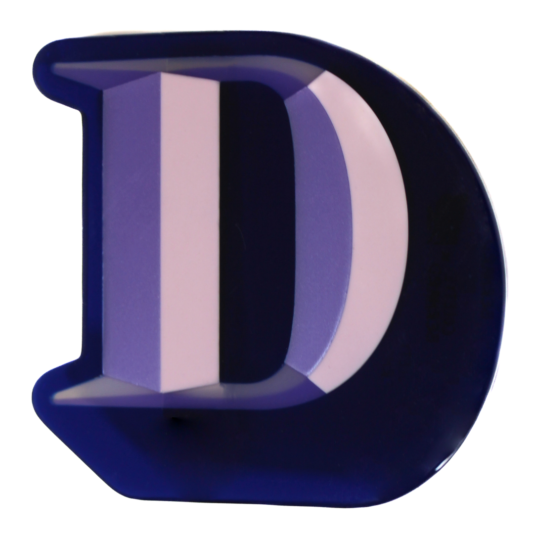 Letter D Hair Clip