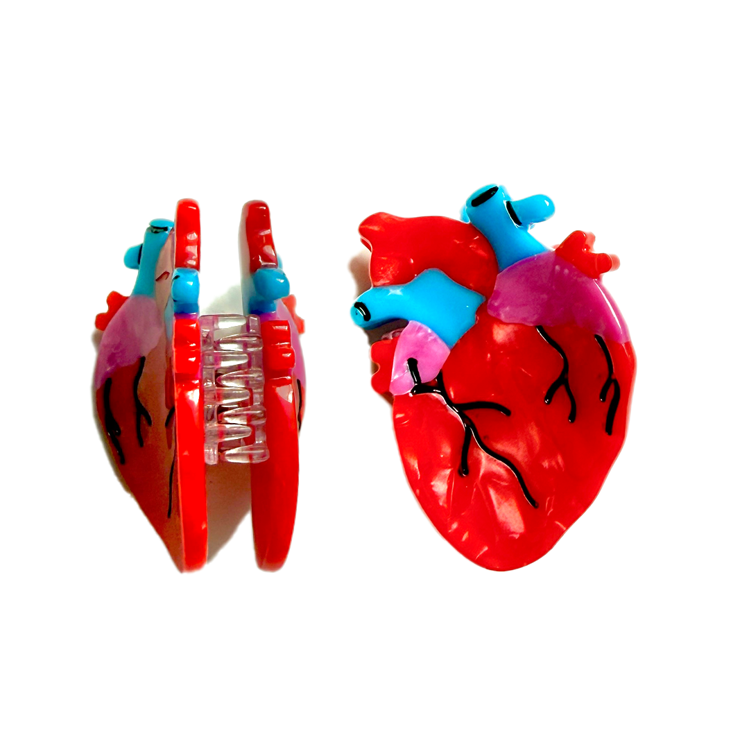 Anatomical Heart Mini Claws (2-pack)