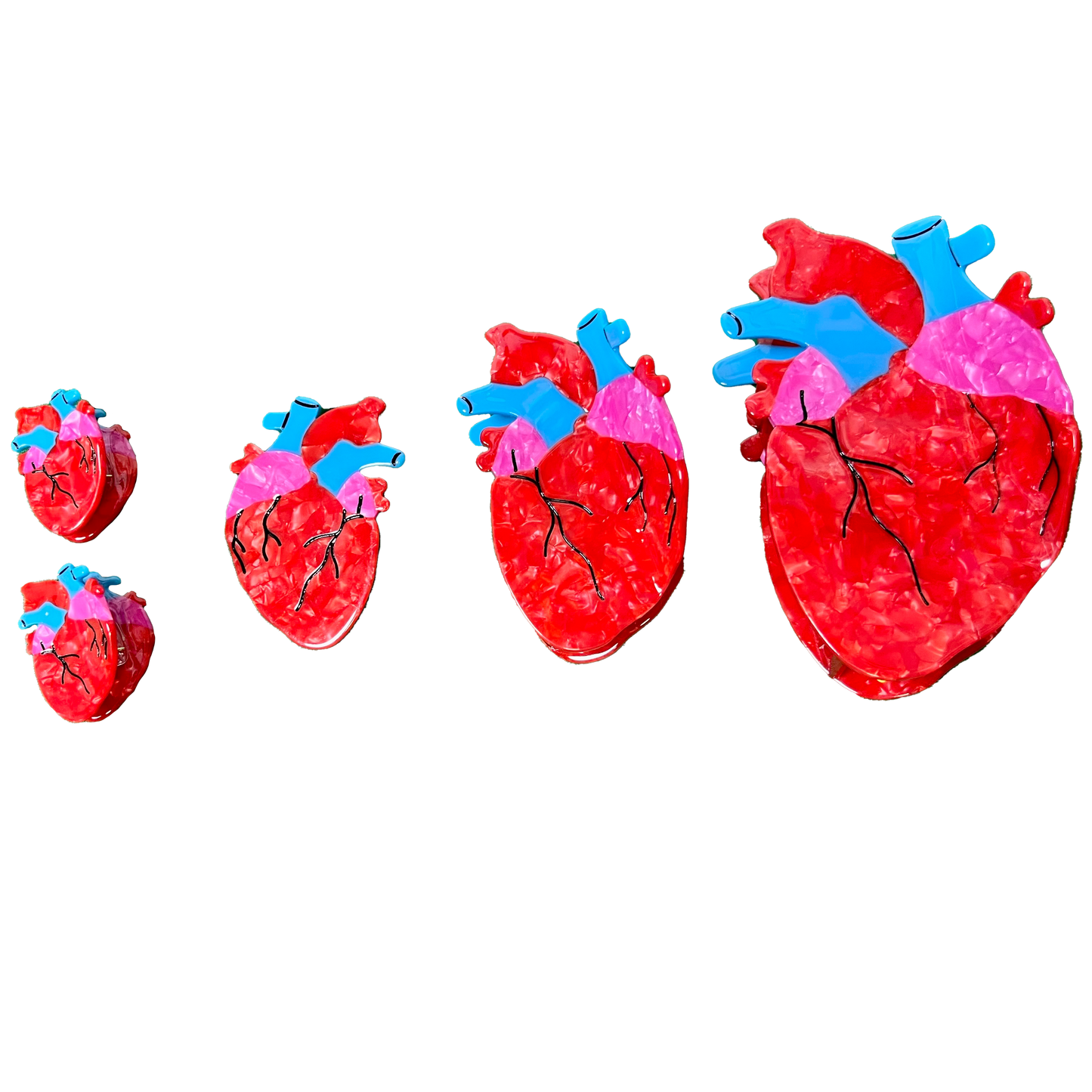 Anatomical Heart